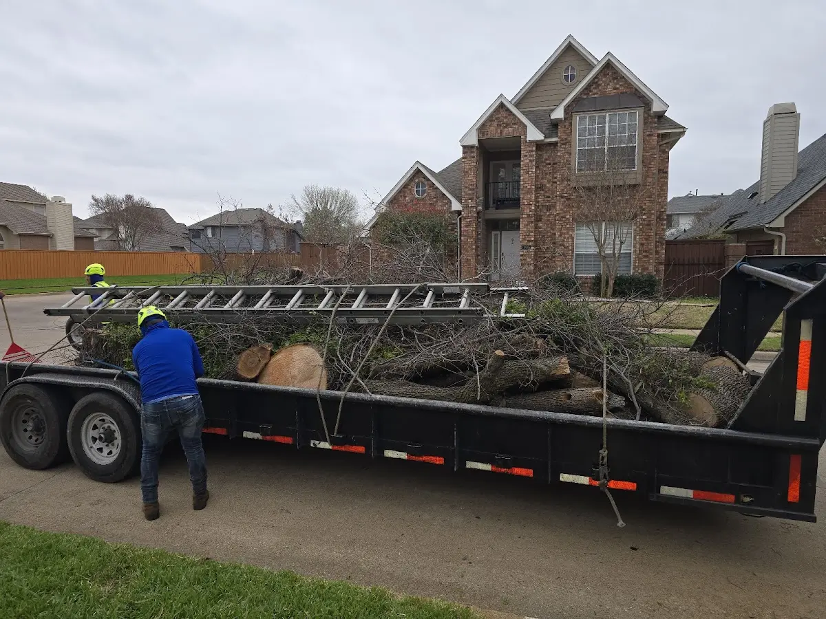 Expert Tree Fertilization with proper safety equipment in Kanawha